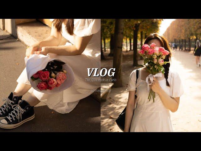  Paris 파리 브이로그 | 아기자기한 두 번째 에어비앤비, 파리에서 주짓수 배우기, 벼룩시장에서 5유로에 장만한 여행가방, 그리고 여전히 마트를 사랑하는 나