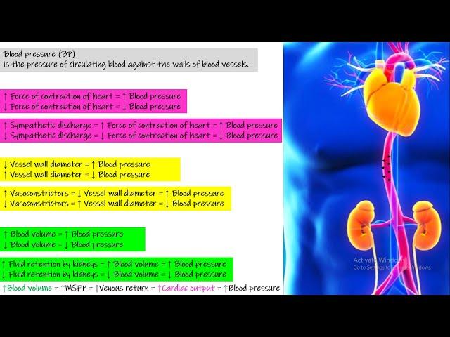 Basic principles of blood pressure control. Chapter 19 part 1. Guyton and Hall Physiology.