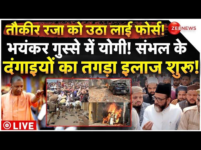 Big Action in Sambhal Violence LIVE: संभल के दगंगाइयों का इलाज शुरू, एक्शन में CM Yogi | Jama Masjid