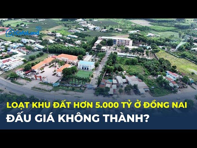 Loạt khu đất HƠN 5.000 tỷ tại Đồng Nai ĐẤU GIÁ KHÔNG THÀNH? | CafeLand