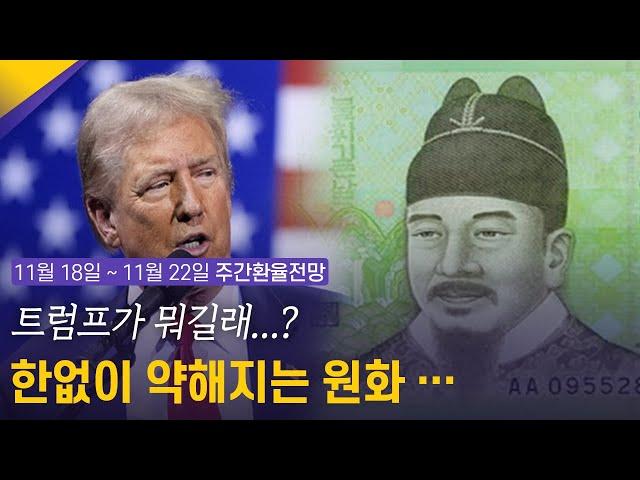 트럼프가 뭐길래…? 한없이 약해지는 원화… | 11월 3주차 환율전망 | 환율똑톡 |