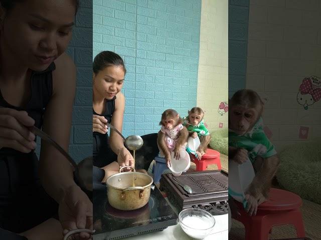 Kuku Mimi ready to enjoy mom's cooking