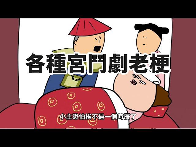 【鼻妹動畫】各種宮鬥老梗-後宮求生觀察