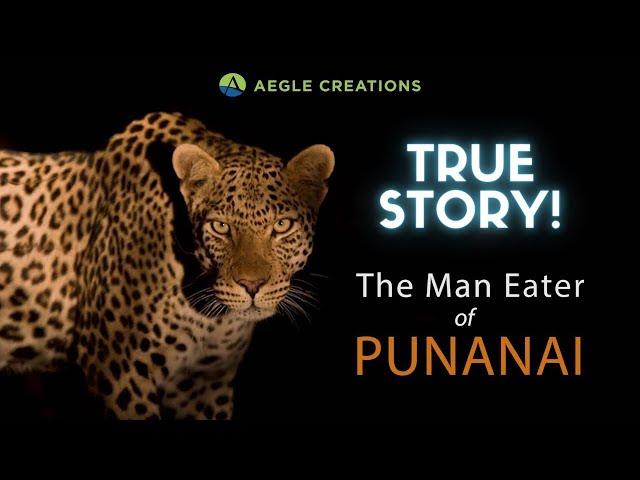 Man-Eating Leopard of Punanai | Sri Lanka