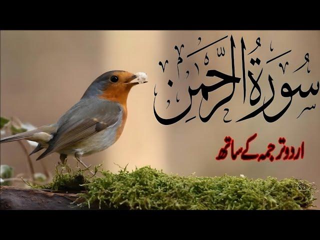 Surah Rahman | Surah Rahman With Urdu Translation | Abdul Basit | Surah Rahman Urdu Tarjuma Ka Sath