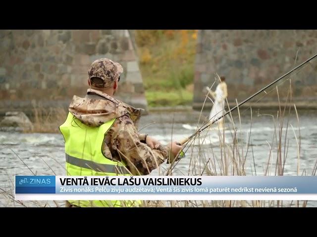 ReTV: Ventā ievāc lašu vaisliniekus