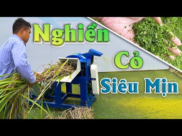 Máy Băm Nghiền Cỏ Bình Quân - Băm Xay Cỏ Siêu Mịn Mới Nhất Năm 2023