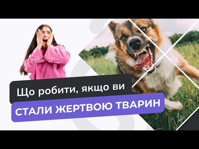 ЖЕРТВА НАПАДУ ТВАРИНИ — ХТО НЕСЕ ВІДПОВІДАЛЬНІСТЬ? | НАПАД БЕЗПРИТУЛЬНОЇ ТВАРИ: ЩО РОБИТИ? | ADVA