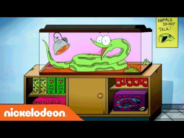 Sanjay and Craig | Official Theme Song | Nick