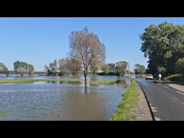 Flooding in Lower Silesia. Day two after the flooding of the polders to protect the big cities.