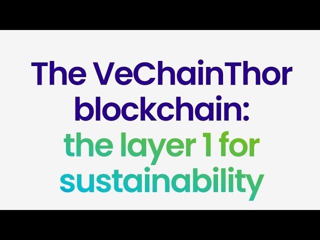 Why VeChain $vet Could Be Your Next Big Investment - Don't Miss Out! 