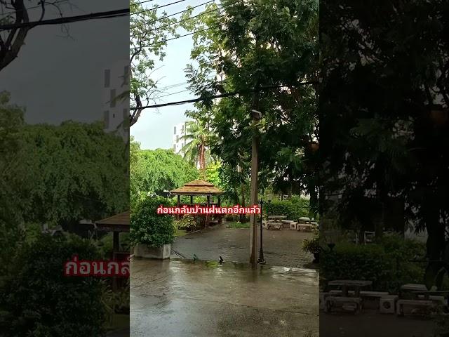 ก่อนจะกลับบ้านฝนตกอีกแล้ว #ฝนตก #กรุงเทพ #thailand #ประเทศไทย #2025 #2568