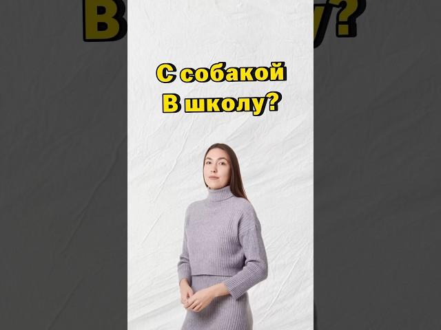 С собакой в школу #7класс #8класс #школа