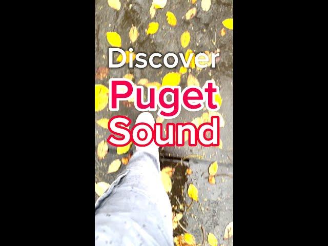 Discover Puget Sound 2024 Recap