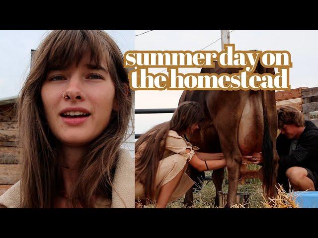 Milking the cow | Making mozzerella cheese & butter | Canning green beans | FARMSTEAD FAMILY VLOG