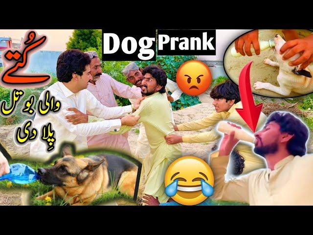 Kuty Wali Botal Pela Di لڑائی ہوگئی Dog Prank  