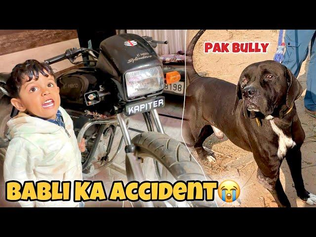 Pak Bully Mil Gaya Road Me Babli Ka Kisi Ne Accident Kar Diya