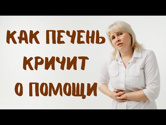 Как печень кричит о помощи? Доктор Лисенкова