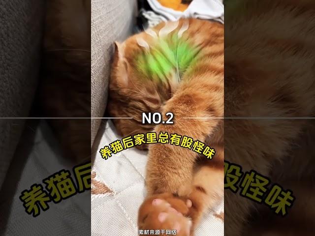 铲屎官最容易做错的事️快看你中了几条 #养猫经验分享话题# #新手养猫话题# #猫咪话题# #养猫注意事项话题#养猫知识