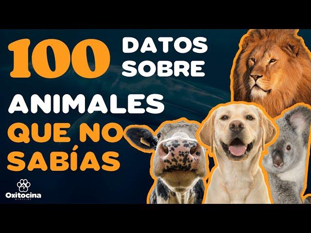 100 DATOS SOBRE  ANIMALES QUE NO  sabías HACE POCOS  MINUTOS