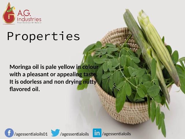 Moringa Seed Oil Suppliers