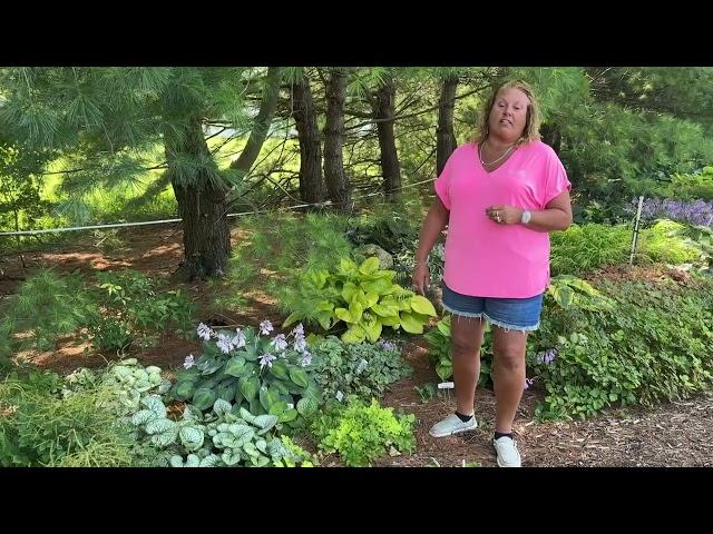 Easy to Grow Perennials for a Shade Garden