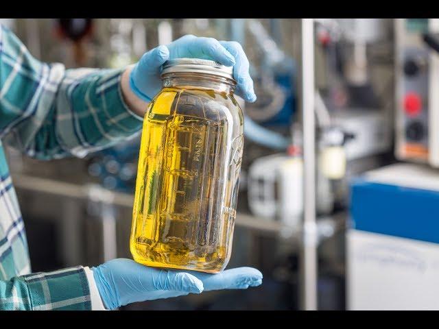 How It's Made: Cannabis Distillate Oil