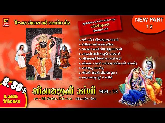 SHRINATHJI NI ZAKHI PART-12 ( PAREKH PARIVAR )શ્રીનાથજીની ઝાંખી ભાગ12  SHRINATHJI BHAJAN - SATSUNG