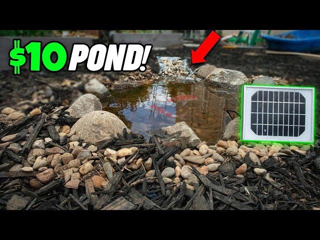 $10 Backyard Mini Pond! | Solar Powered & DIY Waterfall!