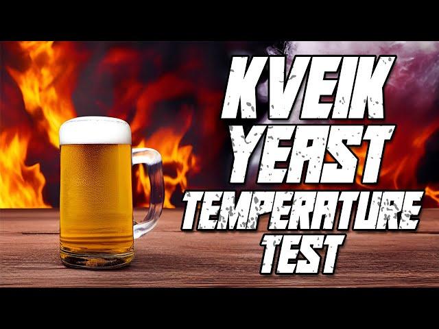 Kveik Yeast Temperature Test (Hot or Room Temp?)