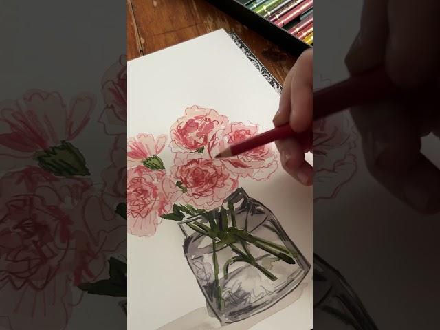 A quick sketch of the January birth flower, carnations.