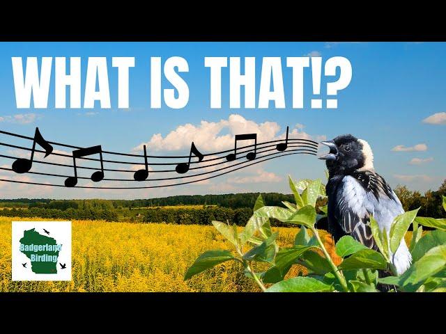 5 Unearthly Bird Songs that You Won't Believe are Real!