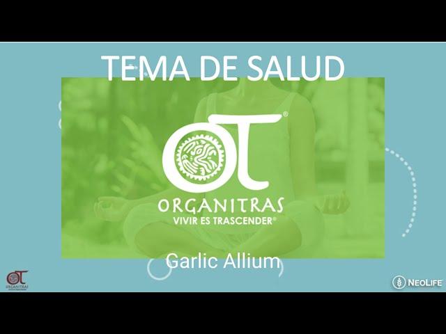 Garlic Allium Complex | Organitras | NeoLife