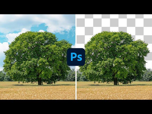 Cómo RECORTAR Árboles en Photoshop SIN Halos ni Fallos ️ | Alain Perdomo