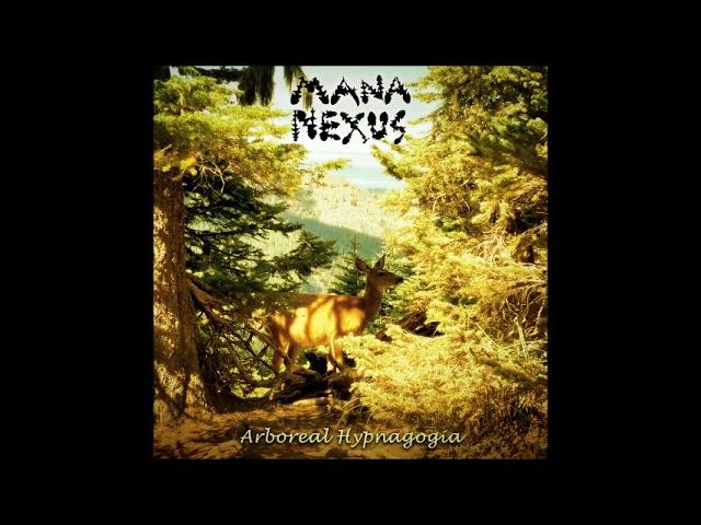 Mana Nexus - Arboreal Hypnagogia (Full Album 2024)