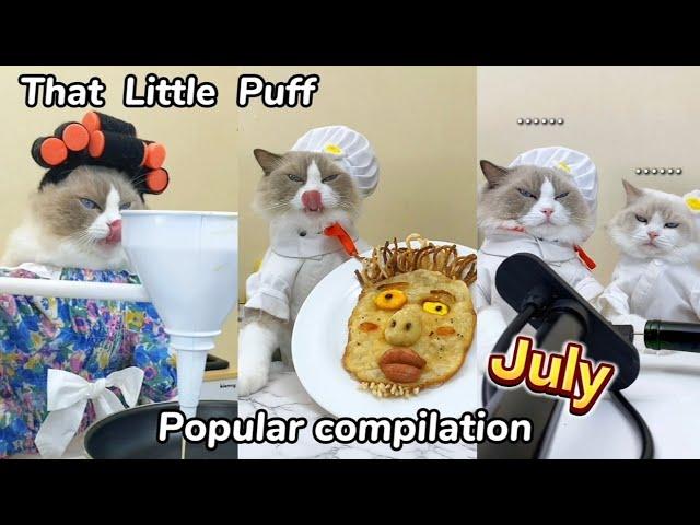 That Little Puff | Popular July Compilation