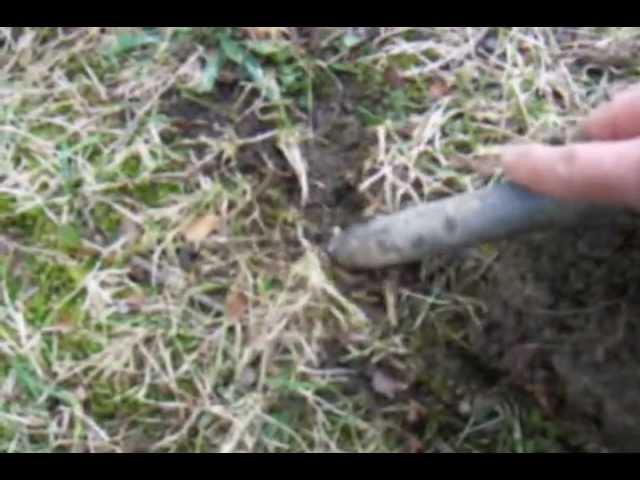 Barber Half - Metal Detecting - ACE 350 Garret - Great Finds in 45 Minutes -  OId PA farmhouse