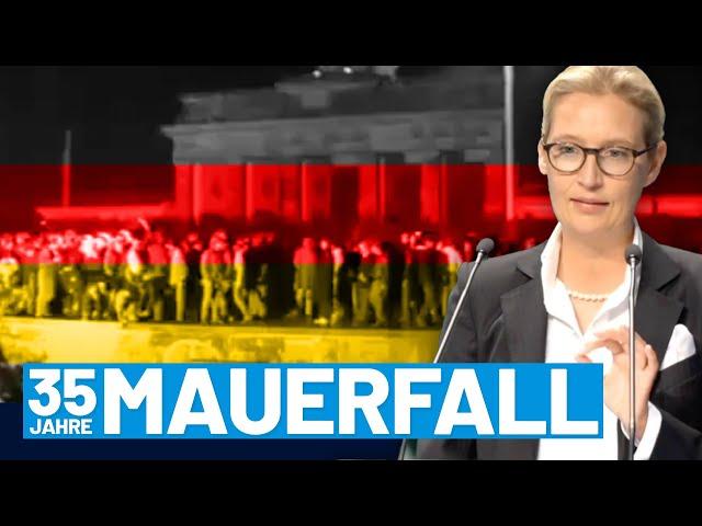 Nie wieder Sozialismus! - AfD-Fraktion gedenkt des Mauerfalls vor 35 Jahren!