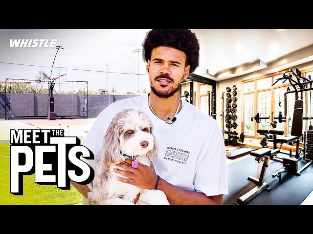 Brooklyn Nets Cam Johnson Pet Reveal & Mansion Tour 