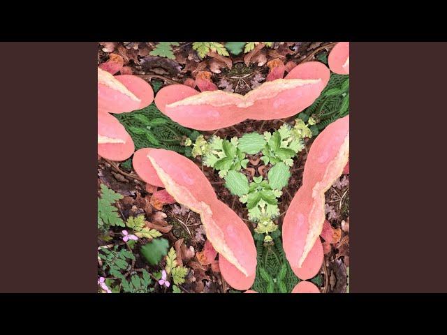 Powerful chant that glorifies the divine qualities