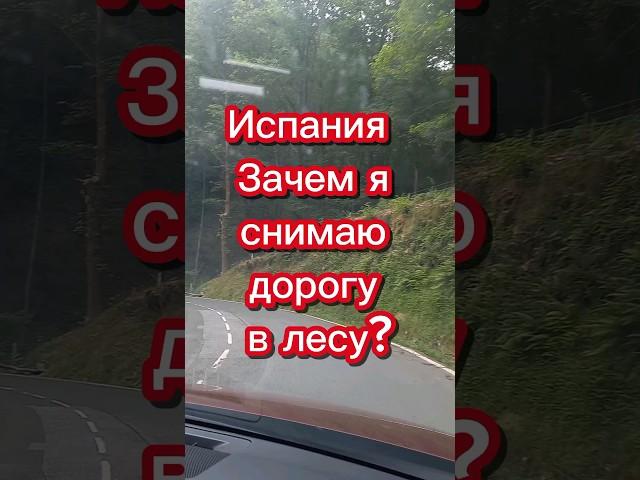 Испания. Зачем я снимаю дорогу в лесу? #переездвиспанию #франция #иммиграция #эмиграция #внжиспании