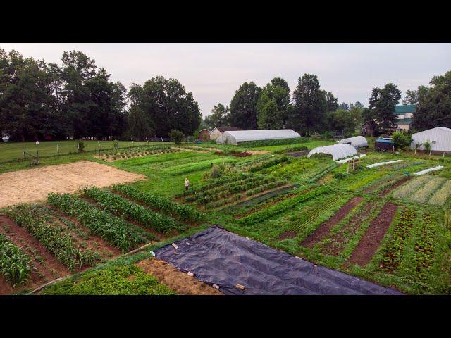 How No-Till Changes a Farm