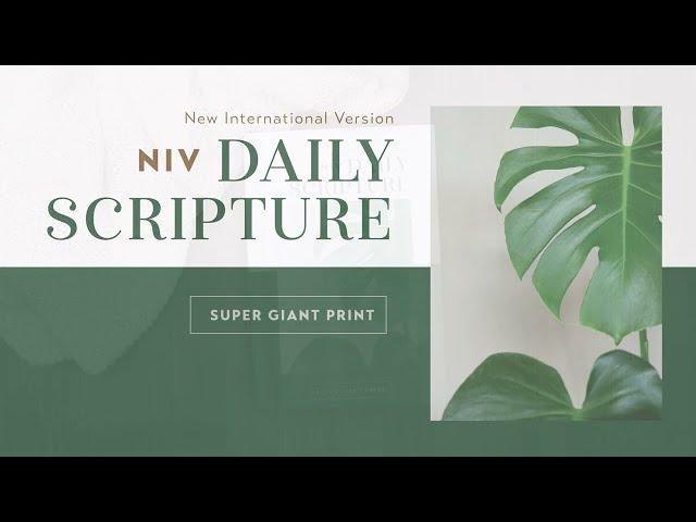 NIV Daily Scripture from Zondervan Bibles (Super Giant Print)