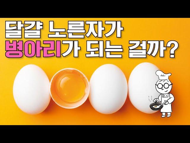 어린이과학 | 달걀 | 노른자가 병아리가 되는 걸까? | 과학호기심 | 탐구 | 생물 |  질문에 빠진 안다씨의 과학이야기