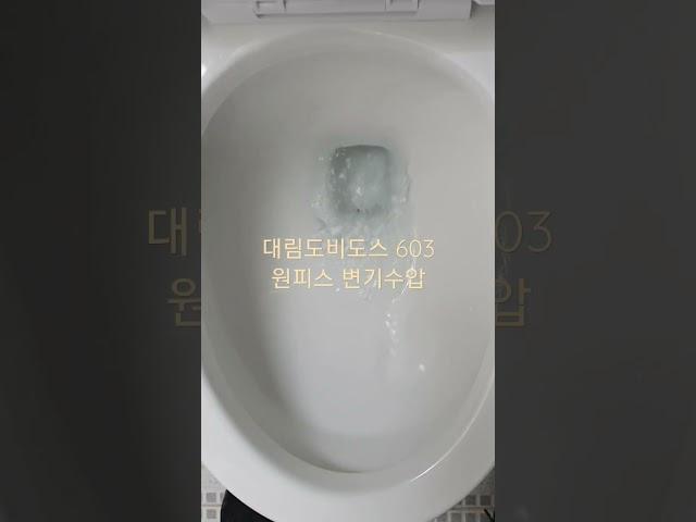 대림도비도스 DC-603 원피스 변기수압, 물내림 영상