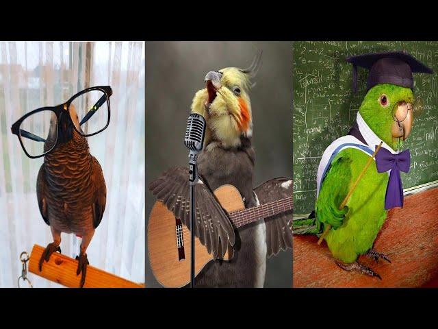 ГОВОРЯЩИЕ И САМЫЕ СМЕШНЫЕ ПОПУГАИ со всего мира | ПРИКОЛЫ С ПОПУГАЯМИ | FUNNY PARROTS часть 15