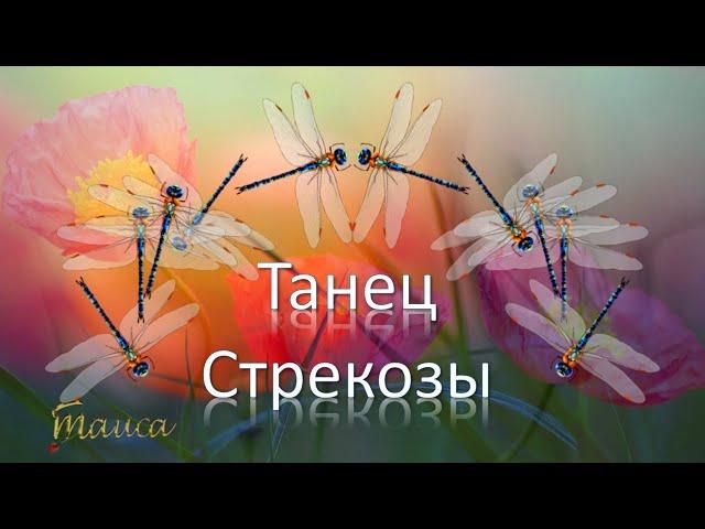 Танец стрекозы Красивое видео Полет стрекозы  с помощью ключевых кадров
