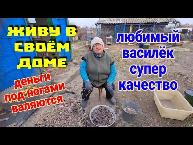 Живу в своём доме, у моря. Нагонная волна разрушила  дорогу. Деньги из кострища. Любимый Василёк.