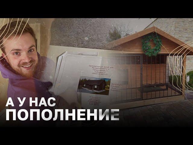 Мы стали родителями / Закончился бетон? / Фундамент для вольера / Ранчо / Жизнь в деревне