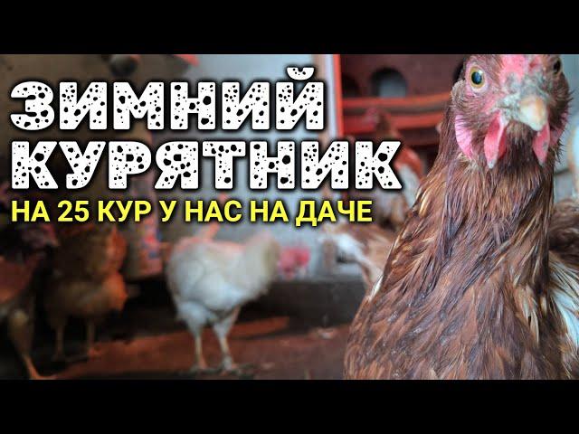 Зимний курятник на даче на 25 кур